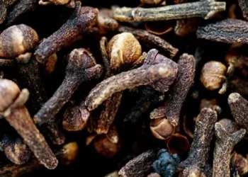 roasted cloves benefits