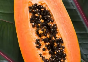papaya benefits