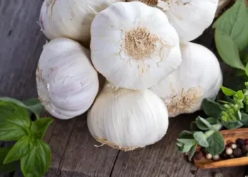 raw garlic benefits