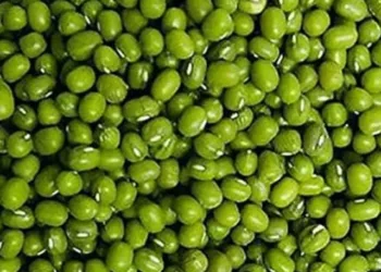 moong dal benefits