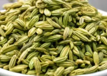 fennel seeds benefits