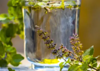 tulsi water benefits