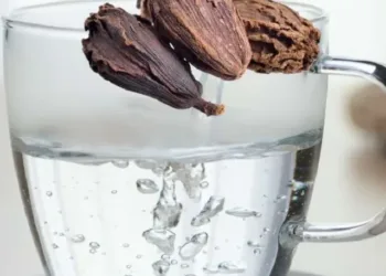 black cardamom water benefits