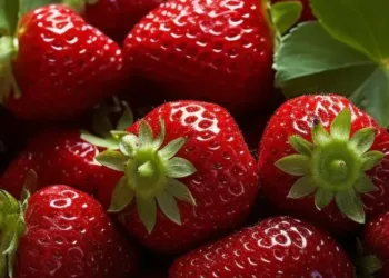 Strawberries benefits