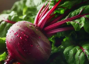 beetroot benefits