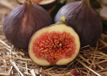 Soaked fig benefits