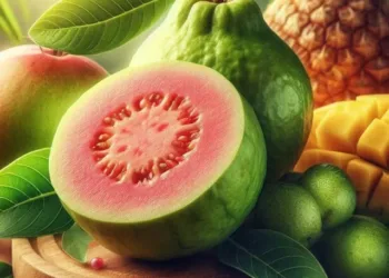 guava benefits