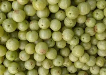 amla benefits