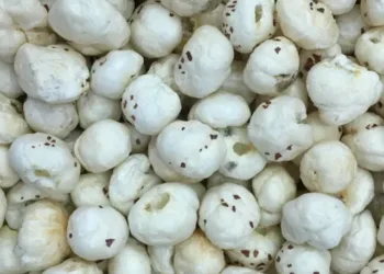makhana benefits