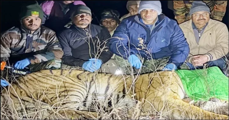 Man eating tiger captured