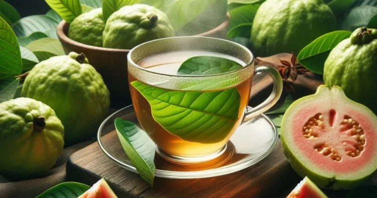 Guava Leaf Tea Benefits