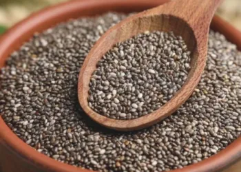 Chia Seeds Benefits