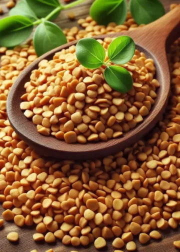 fenugreek seeds benefits