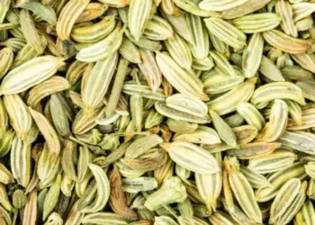 fennel seed benefit
