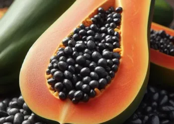 Papaya Seeds Benefits