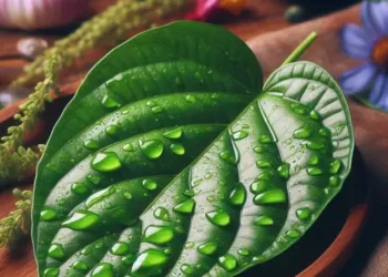 paan leaves benefits