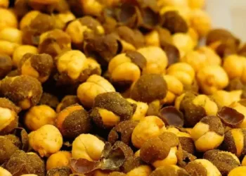 roasted chana benefits