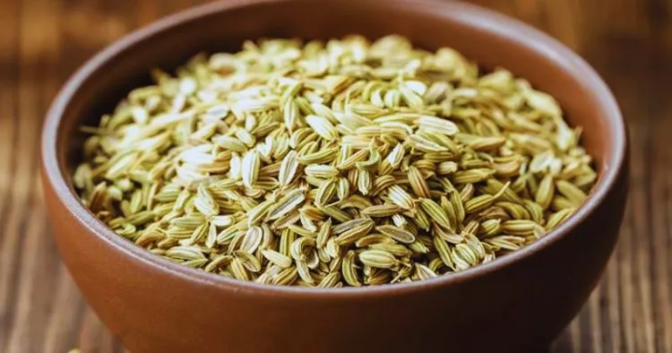 Fennel Seeds Benefits