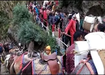 Amarnath yatra muslim vyapari