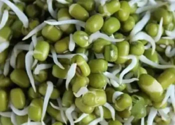 sprouted moong dal benefits