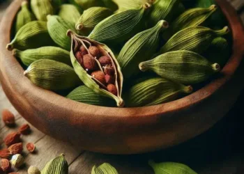 cardamom benefits
