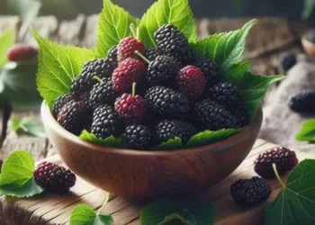mulberry benefits