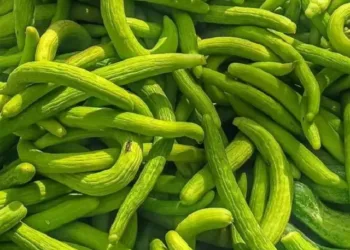 kakdi benefits