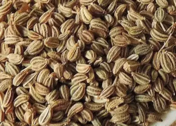 ajwain benefits