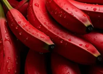 red banana benefits
