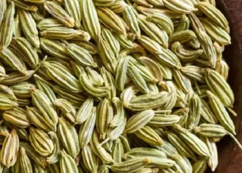 fennel seeds benefits
