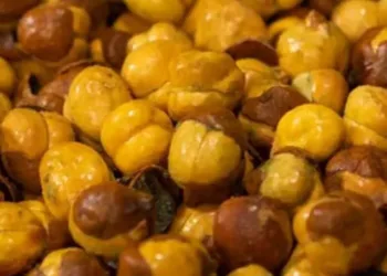 roasted chana benefits