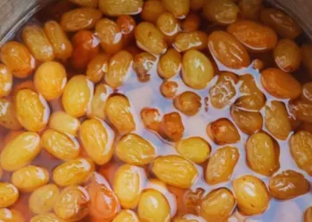soaked raisins benefits