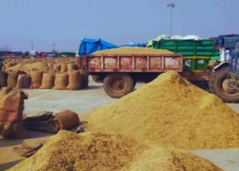 प्रतीकात्मक तस्वीर