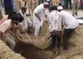 कब्र से निकाली गई लाश