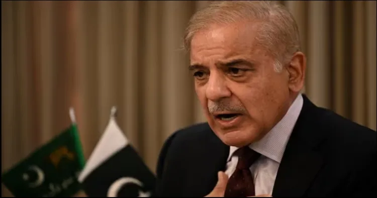 Pakistani proffessor lashesh out at his government over pahalgam attack