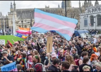UK Transgender vivad