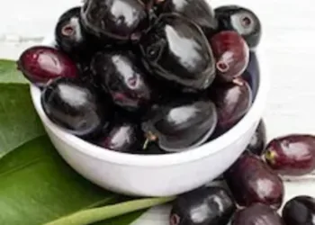 jamun fruit benefits