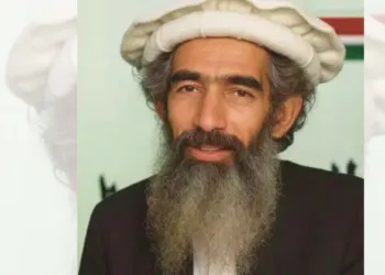 आतंकवादी आमिर हमजा