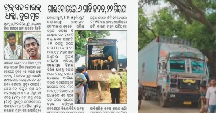 कोरापुट गायों की तस्करी