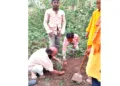 अभियान के दौरान पौधारोपण करते कार्यकर्ता