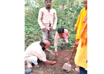 अभियान के दौरान पौधारोपण करते कार्यकर्ता