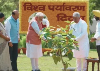 Aravali Green Project