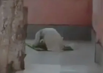 मंदिर परिसर में नमाज अदा करता मुस्लिम युवक