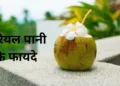 नारियल पानी 
के फायदे