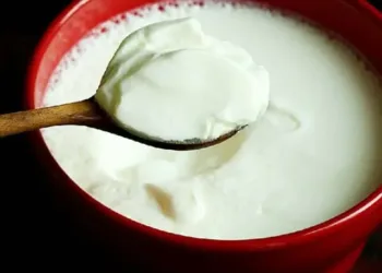 dahi benefits