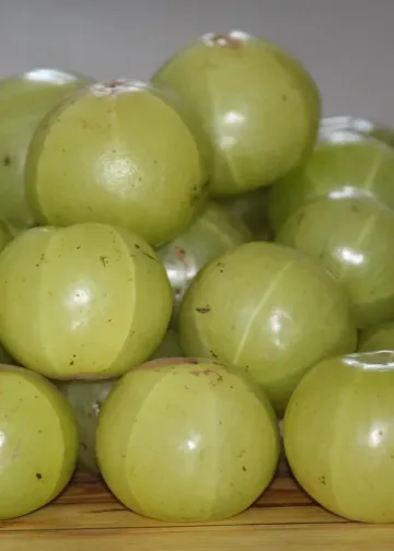 Amla benefits in summer