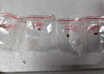 जहरीले फंगस का इस्तेमाल फसलों को खराब करने के लिए किया जाना था