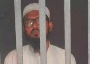 Maulana Hafiz