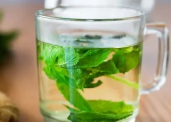 mint water benefits