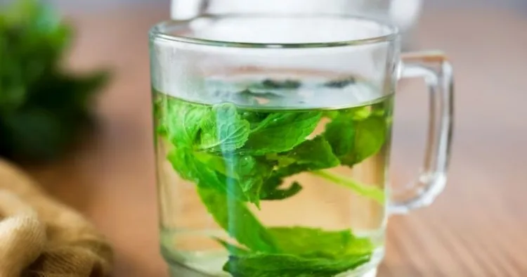 mint water benefits